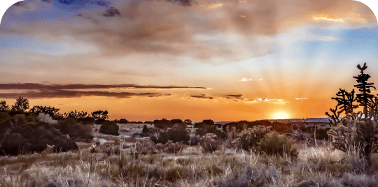 New Mexico@2x